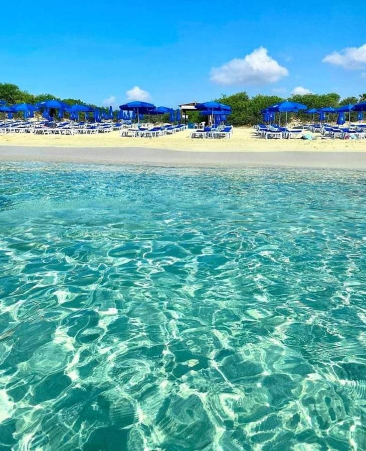 Nissi Golden Sands Sea View 2 Bedroom Apartment Αγία Νάπα Εξωτερικό φωτογραφία
