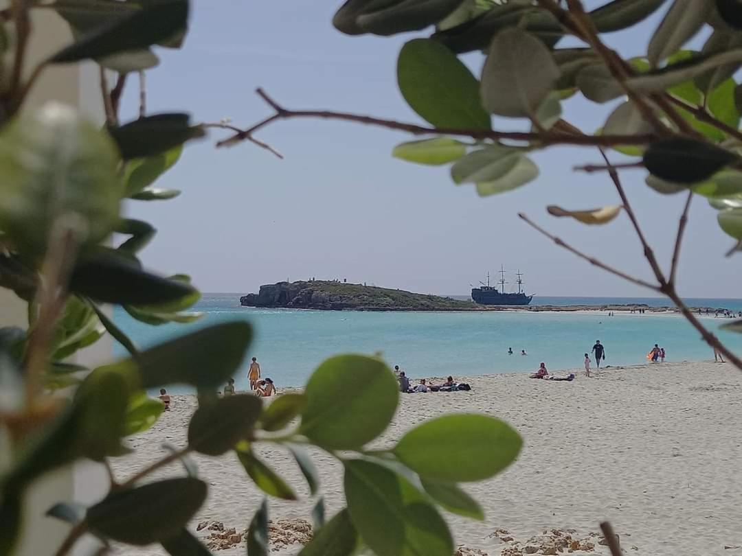 Nissi Golden Sands Sea View 2 Bedroom Apartment Αγία Νάπα Εξωτερικό φωτογραφία