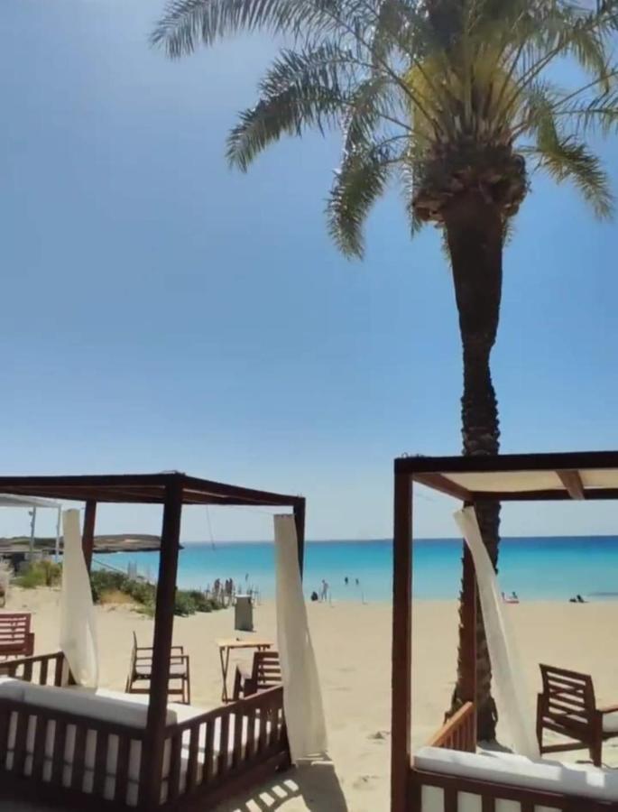Nissi Golden Sands Sea View 2 Bedroom Apartment Αγία Νάπα Εξωτερικό φωτογραφία